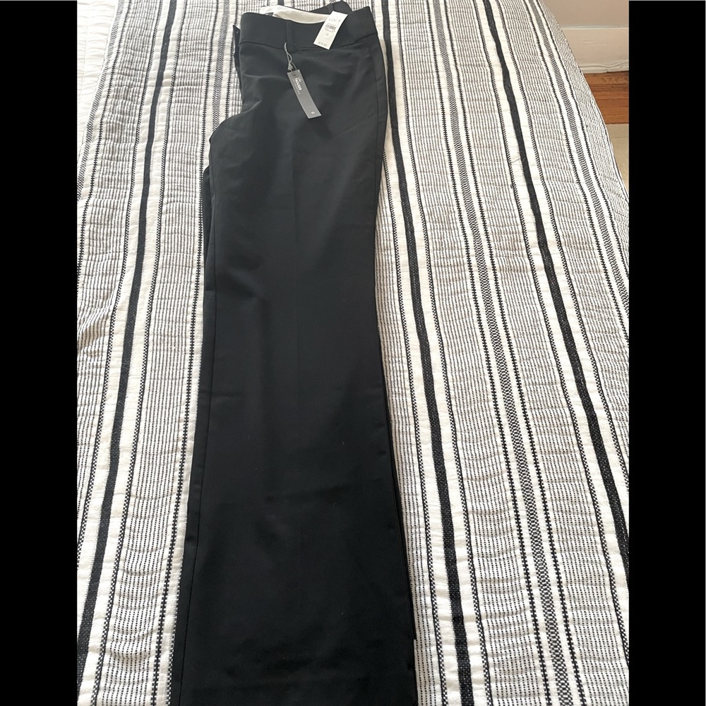 Ann Taylor LOFT Julie Trouser